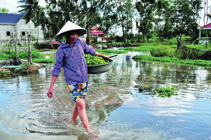 Nước ngập